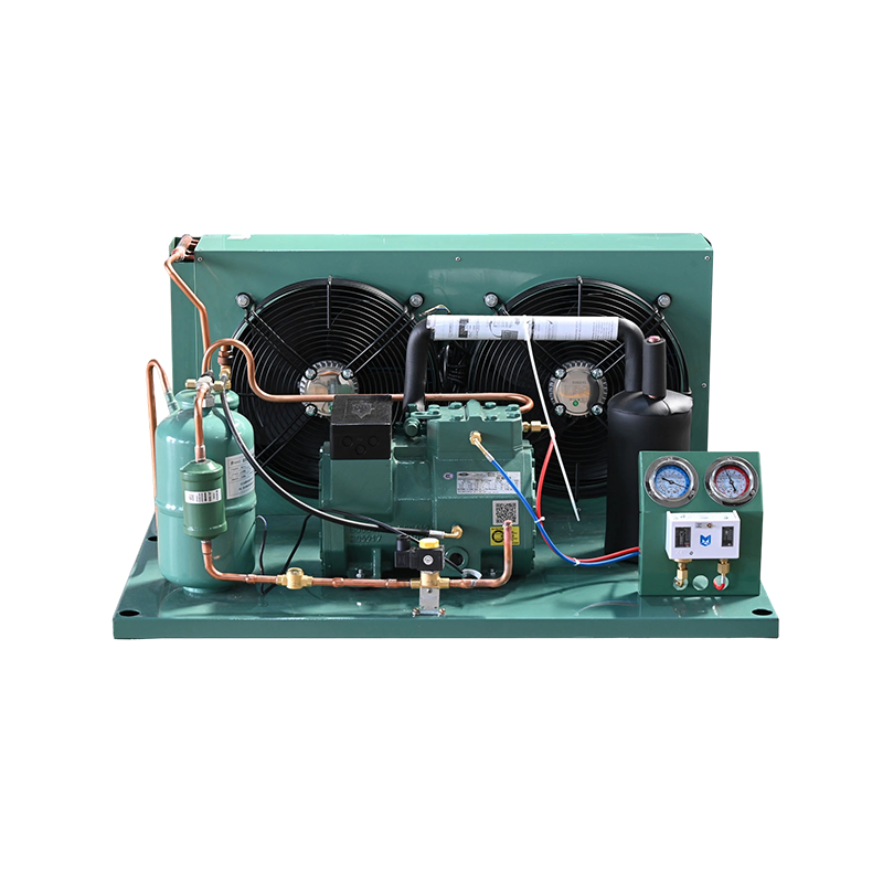 Unidade de parafuso Bitzer